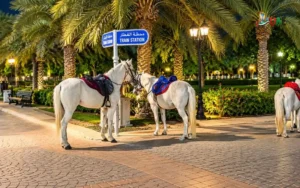 Try horse riding